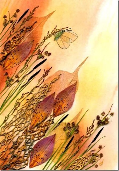 Цветы гербарий