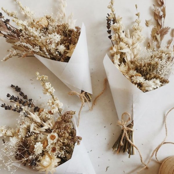 Осибана бабочки