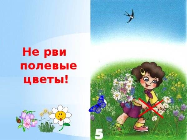 Не рви в лесу, на лугу цветов.