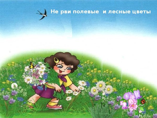 Знак не рви цветы