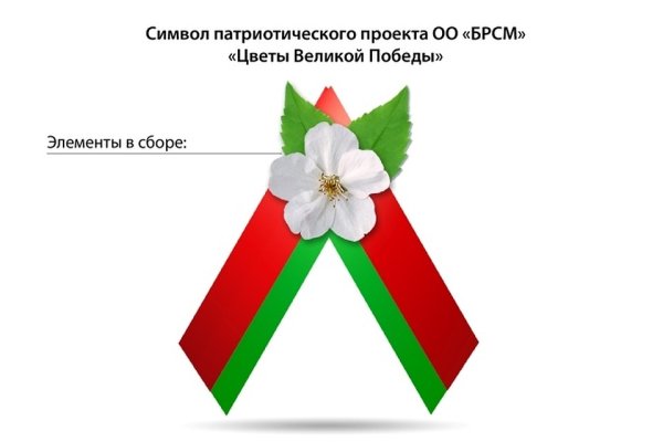 Яблоневый цвет символ Победы