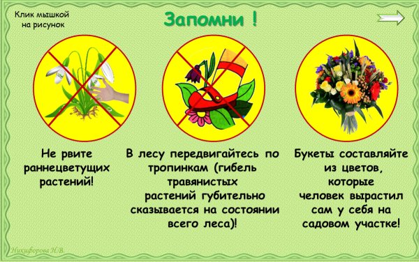 Знак нельзя рвать растения