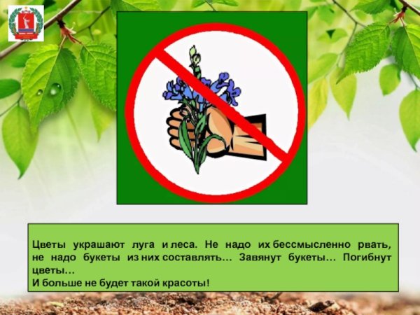 Запрещающие экологические знаки