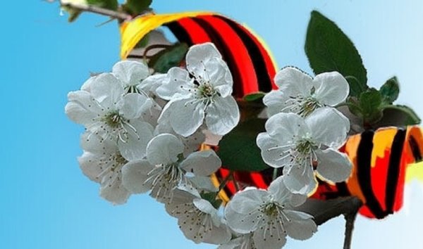 Весна Победы