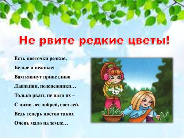 Не рвите цветы, не ломайте деревья