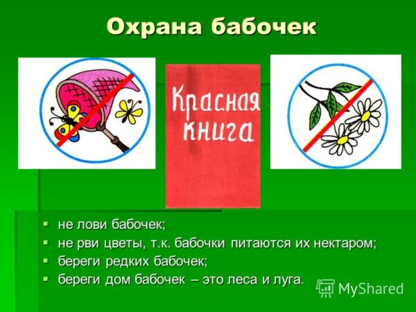 Не рвите редкие цветы