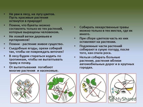 Знак не топтать растения