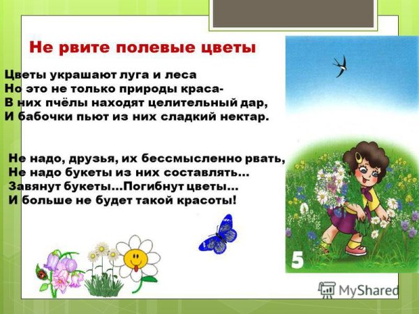 Нельзя рвать цветы