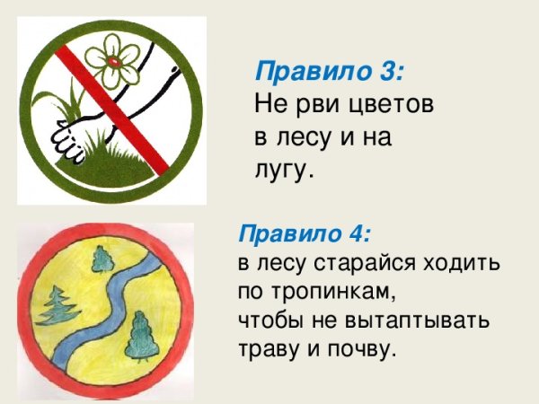 Не рвите редкие цветы