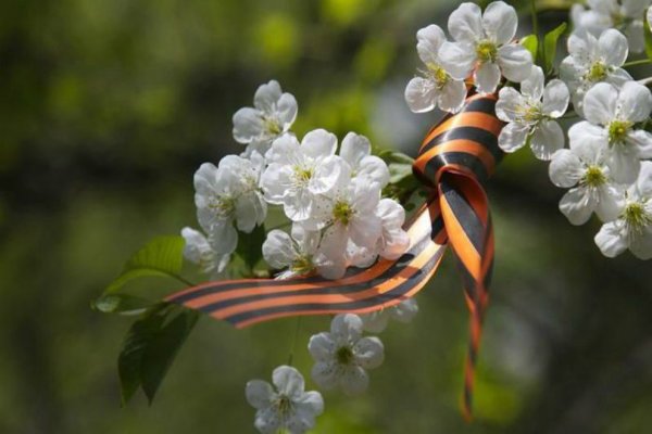 Весна Победы