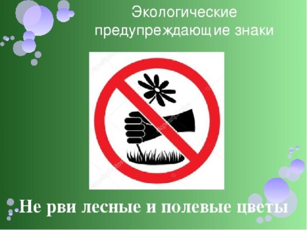 Нельзя рвать редкие цветы