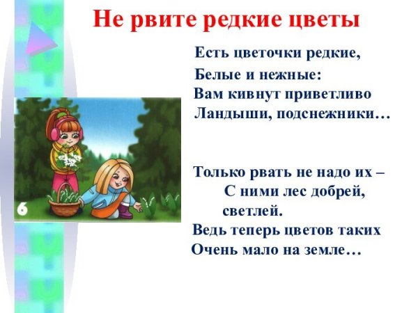 Не рвите полевые цветы