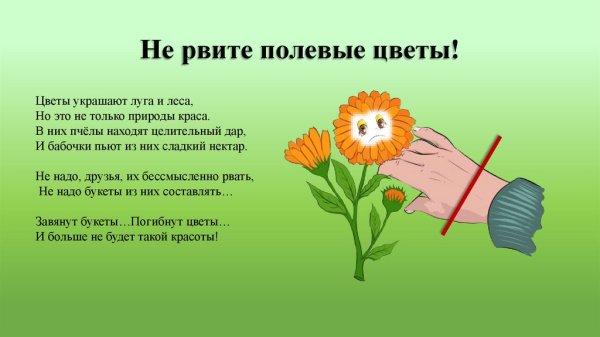 Стих про мыльные пузыри для детей