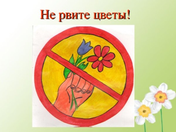Нельзя рвать цветы
