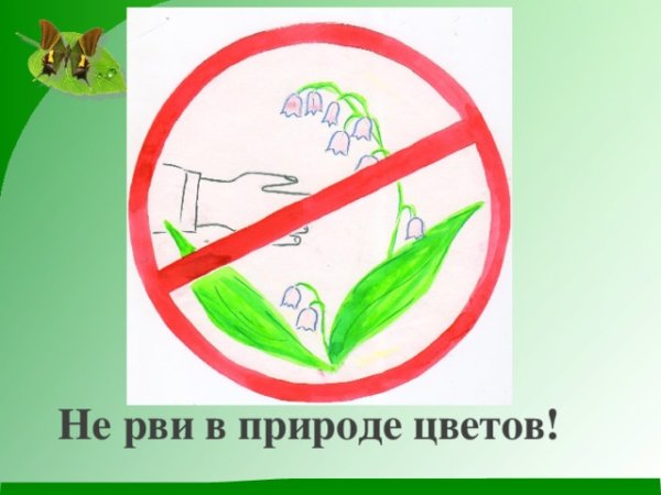 Знак не ломать ветки