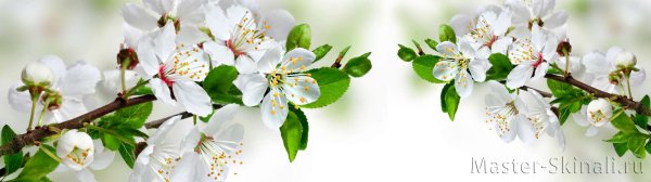 С днем Победы с Яблоневой веткой