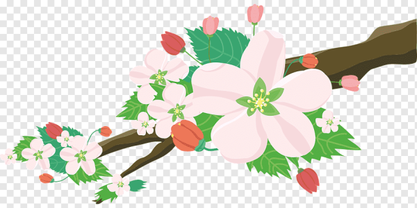 Яблоня в цвету вектор