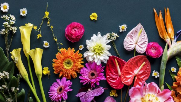 Яркие цветы