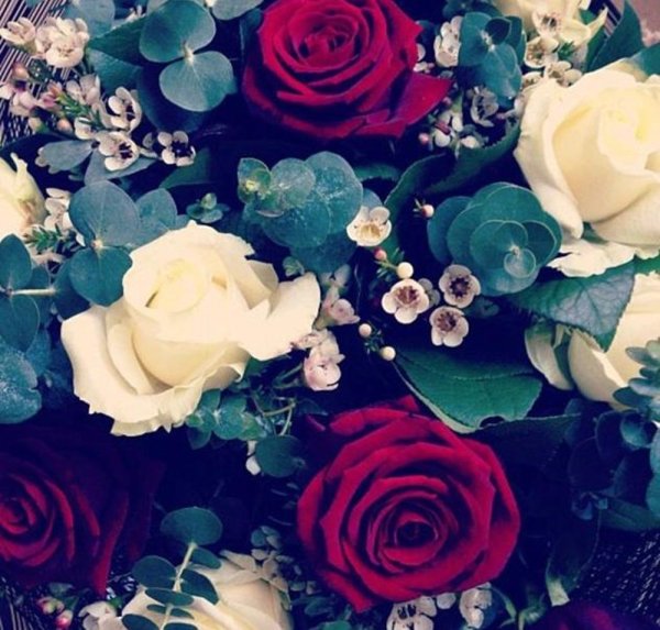 С днем рождения яркие розы