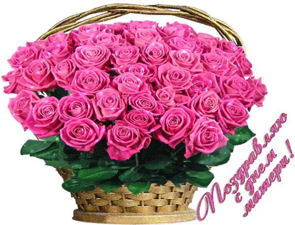 Роза в волосах