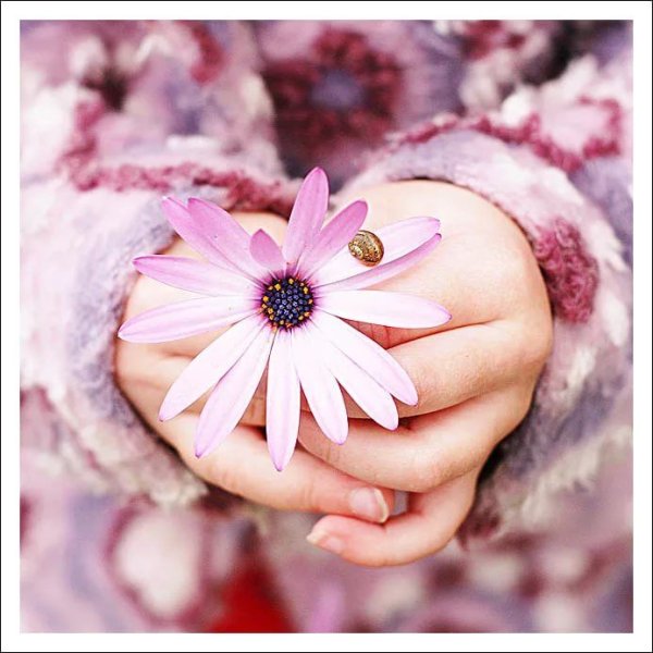 Поздравления с днём рождения