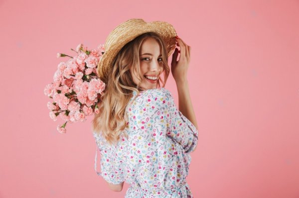 Герберы цветы