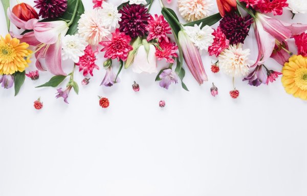 Рассыпанные цветы