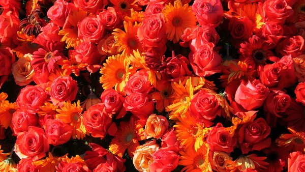 Цветы много