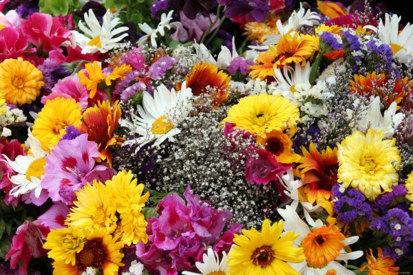 Разные цветы