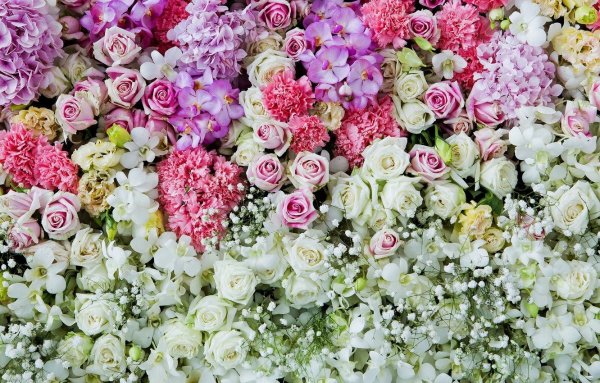 Цветочный фон