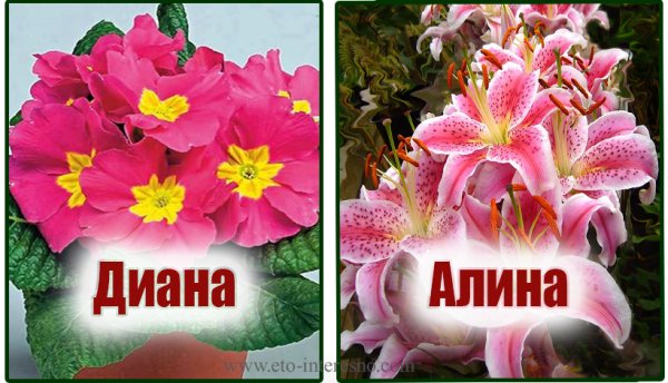 Цветок имени Жанна