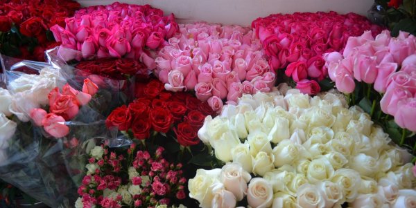 Букеты роз шикарных