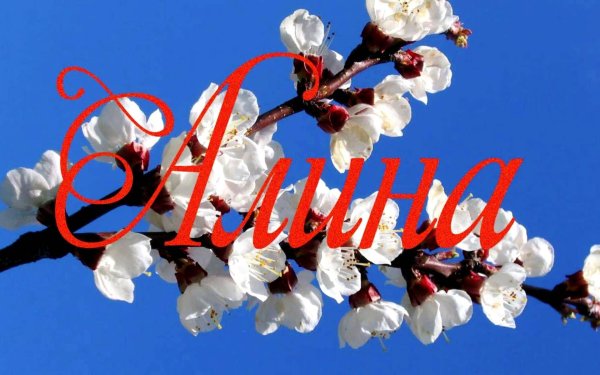 Поздравления с днём рождения женщине алёна