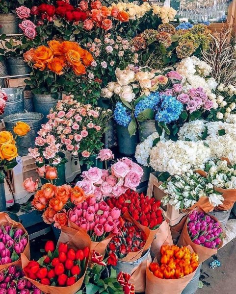 Гигантский букет цветов