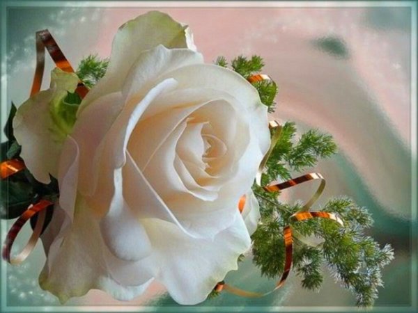 Цветы для милой Татьяны