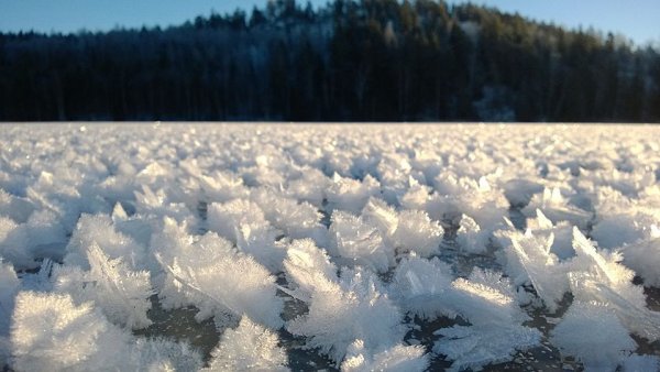 Ледяные цветы в Северном Ледовитом океане