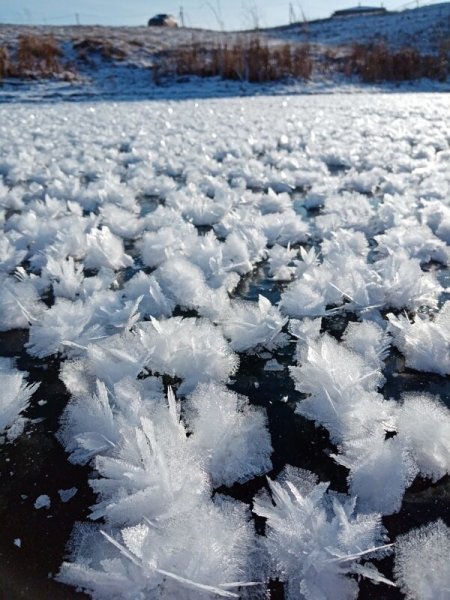 Предметы во льду