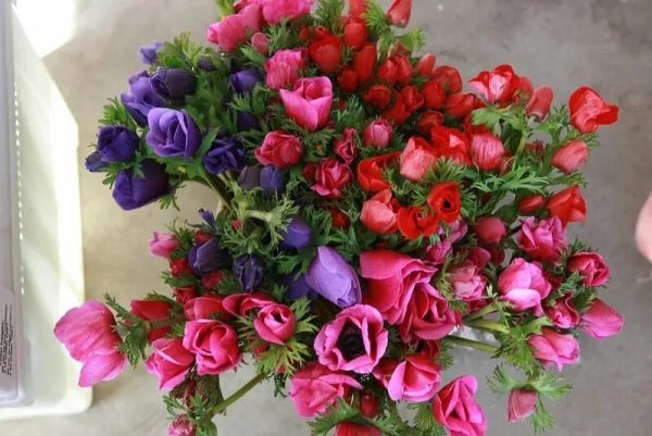 Поздравляем с днем рождения цветы