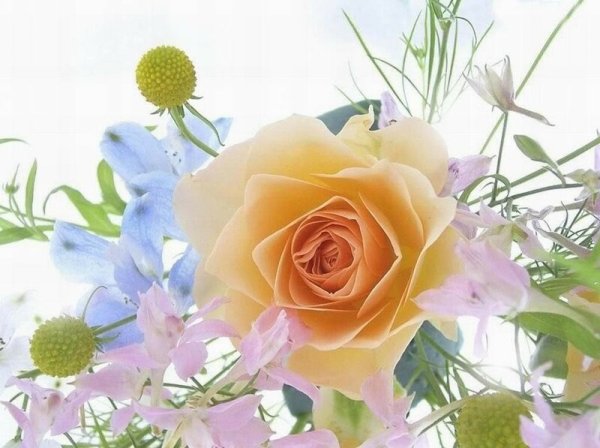 С днем рождения Татьянка