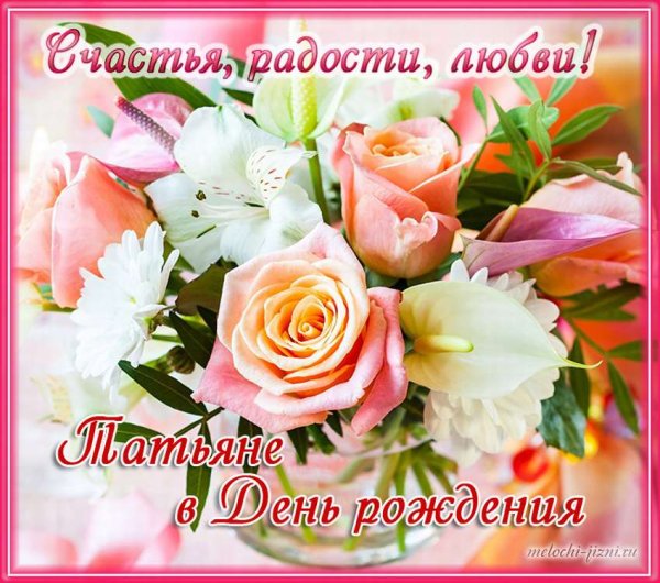 Розы в саду фото красивые