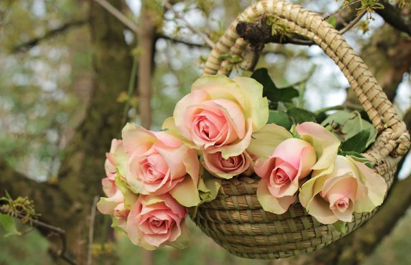 С днём рождения Татьяна