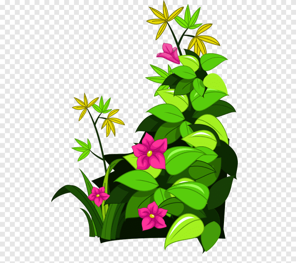 Цветы для садика