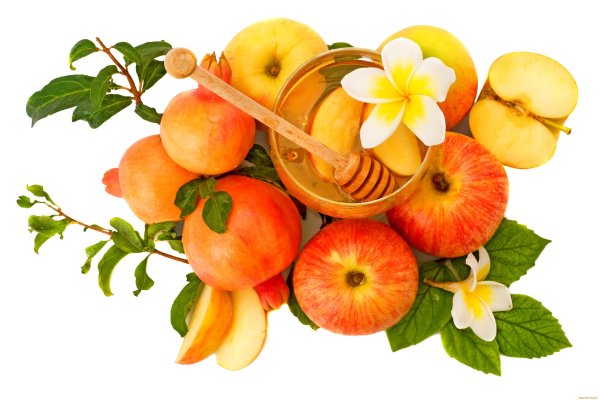 Яблоневый цвет Malus