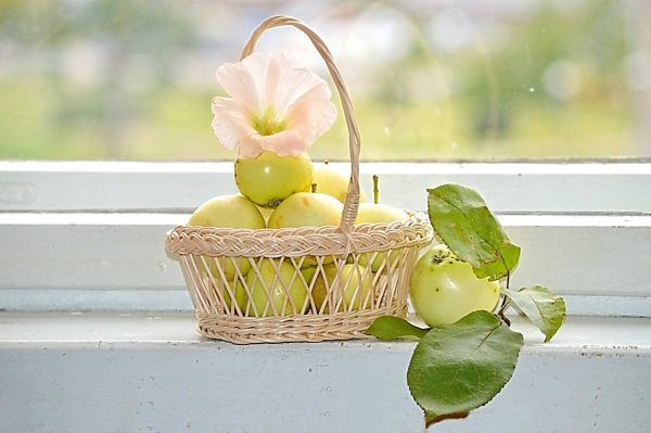 Цветы персика акварель