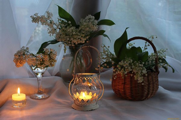 Прекрасного весеннего вечера