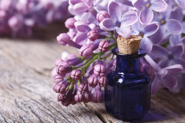 Эфирное масло сирени