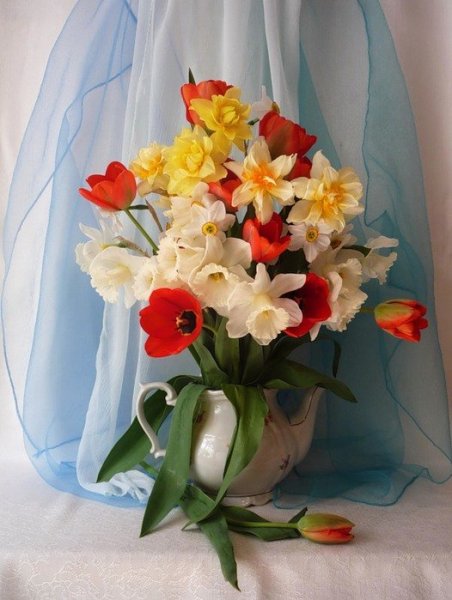 Добрый вечер с нарциссами