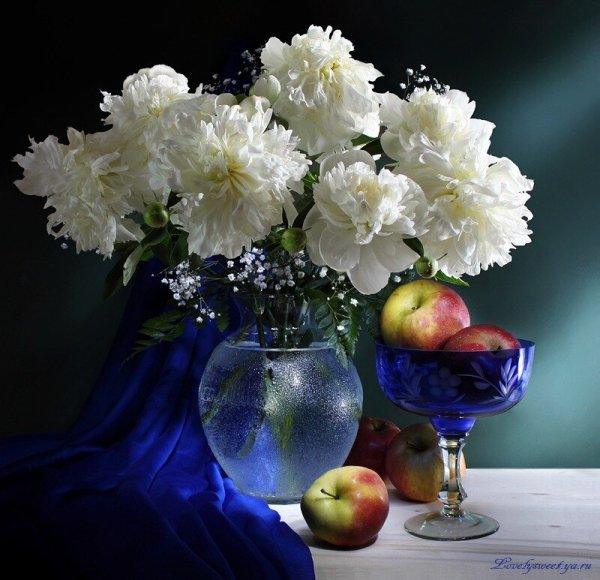 Доброго вечерочка цветы