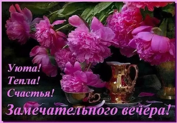 Чудесного вечера