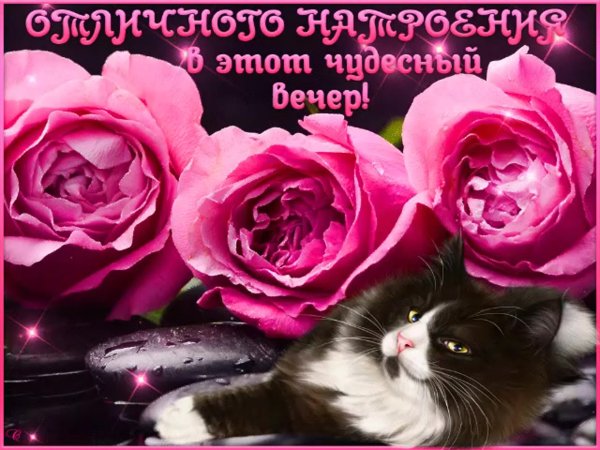 Поздравление с добрым вечером